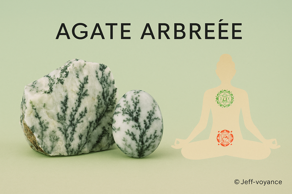 Agate Arbrée – L’intelligence silencieuse du vivant en pierre - Esoboutik Brest