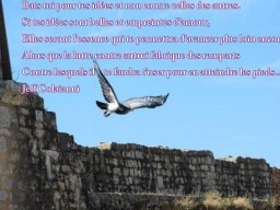 Défendre ses idées